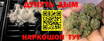 сатива Моздок