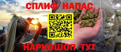 сатива Моздок