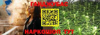 сатива Моздок